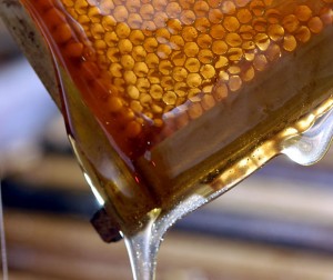 honeycomb[1]